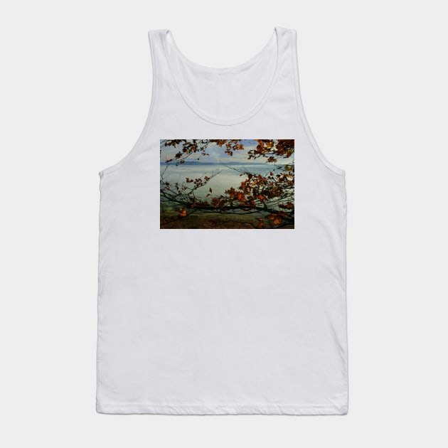 Hope Valley Tank Top by StephenJSmith